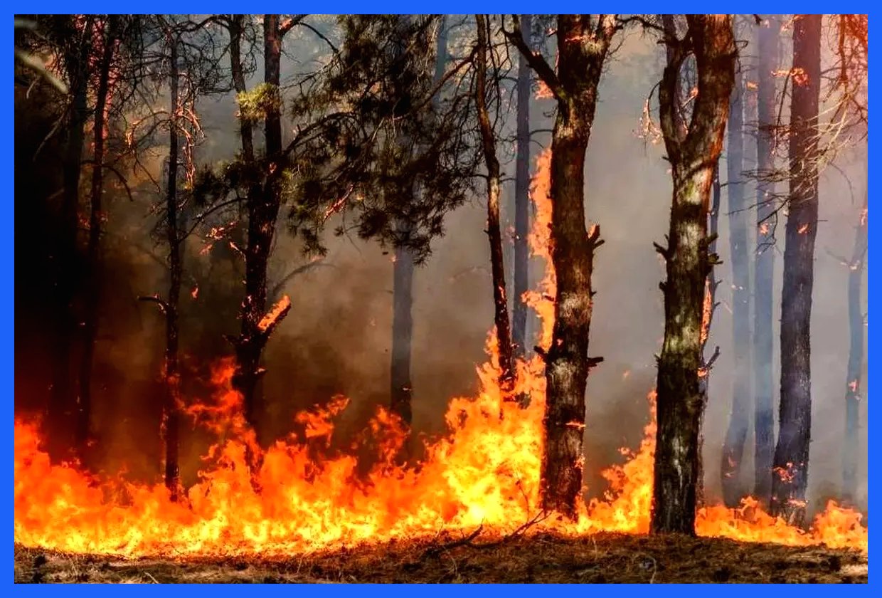 آتش‌سوزی در جنگل‌های توسکستان گلستان