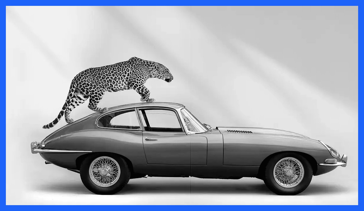 تبلیغی خلاقانه: جگوار با جگوار در صحنه! (+عکس)