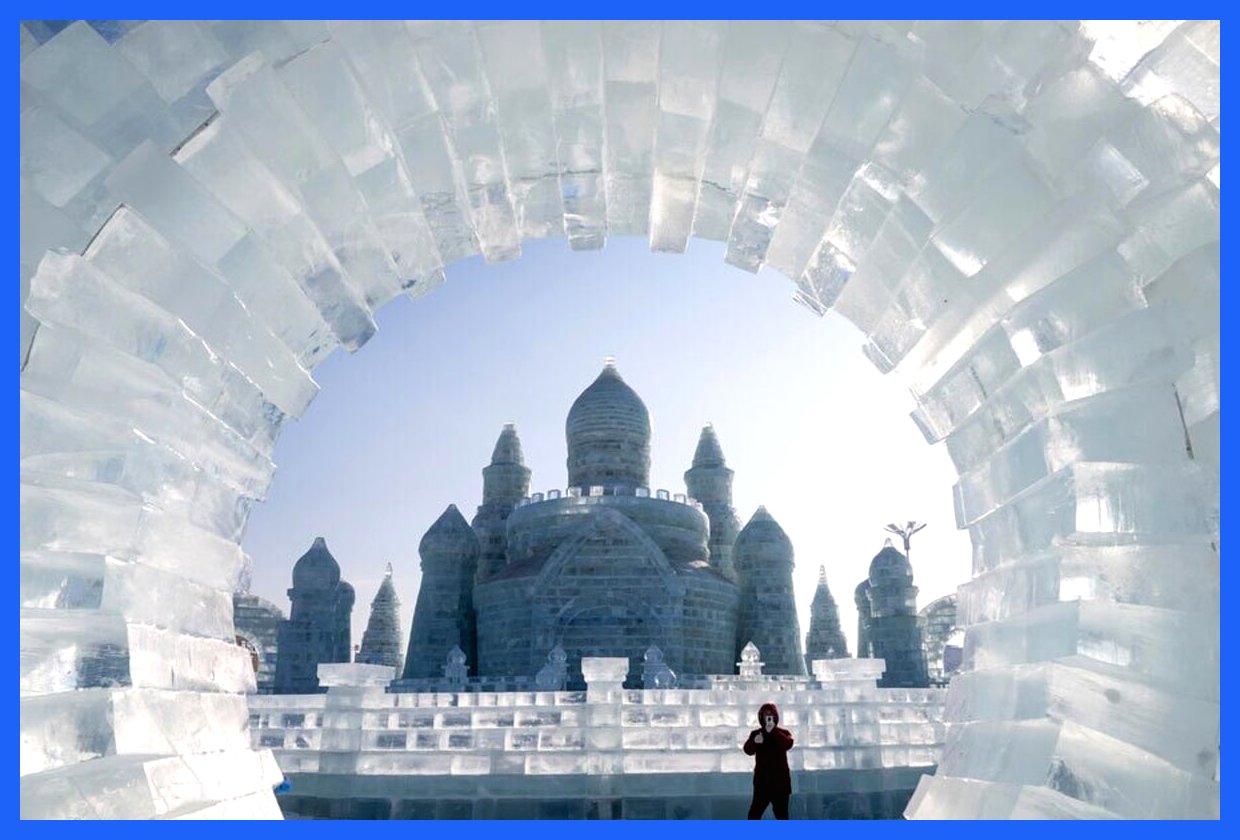 جاذبه‌های امروز؛ از فسیل جمجمه مرد جاوه‌ای تا فعالیت‌های تفنگداران دریایی آمریکا در کارائیب