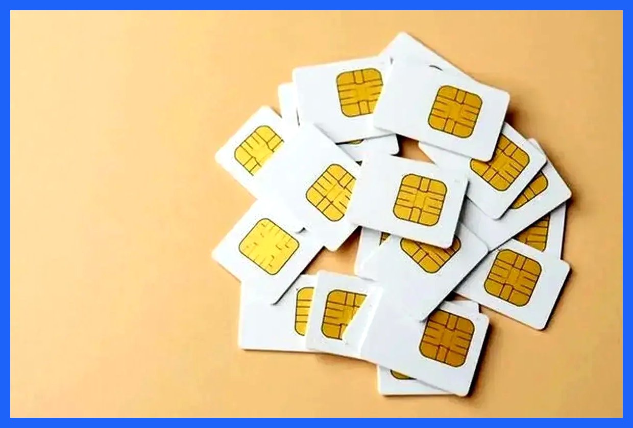 رئیس دفتر رئیس‌جمهور اعلام کرد که اینترنت سفید برای تمامی افراد، شامل اعضای دولت نیز، لغو خواهد شد. وی تأکید کرد که این تصمیم به منظور ایجاد برابری دسترسی به اینترنت برای همگان اتخاذ شده است.