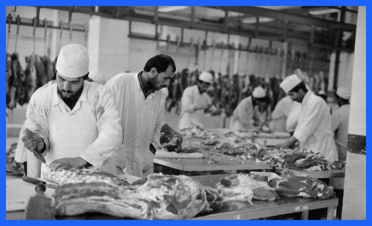 ۷۰ سال خاطرات تاریخی از کشتارگاه تهران؛ تصاویری از مکانی که دیگر وجود ندارد