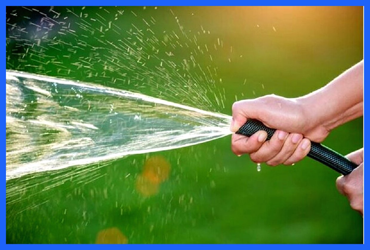 هشدار مدیرعامل مؤسسه تحقیقات آب: ادامه وضع موجود، کشور را در شرایط بحرانی‌تری قرار می‌دهد