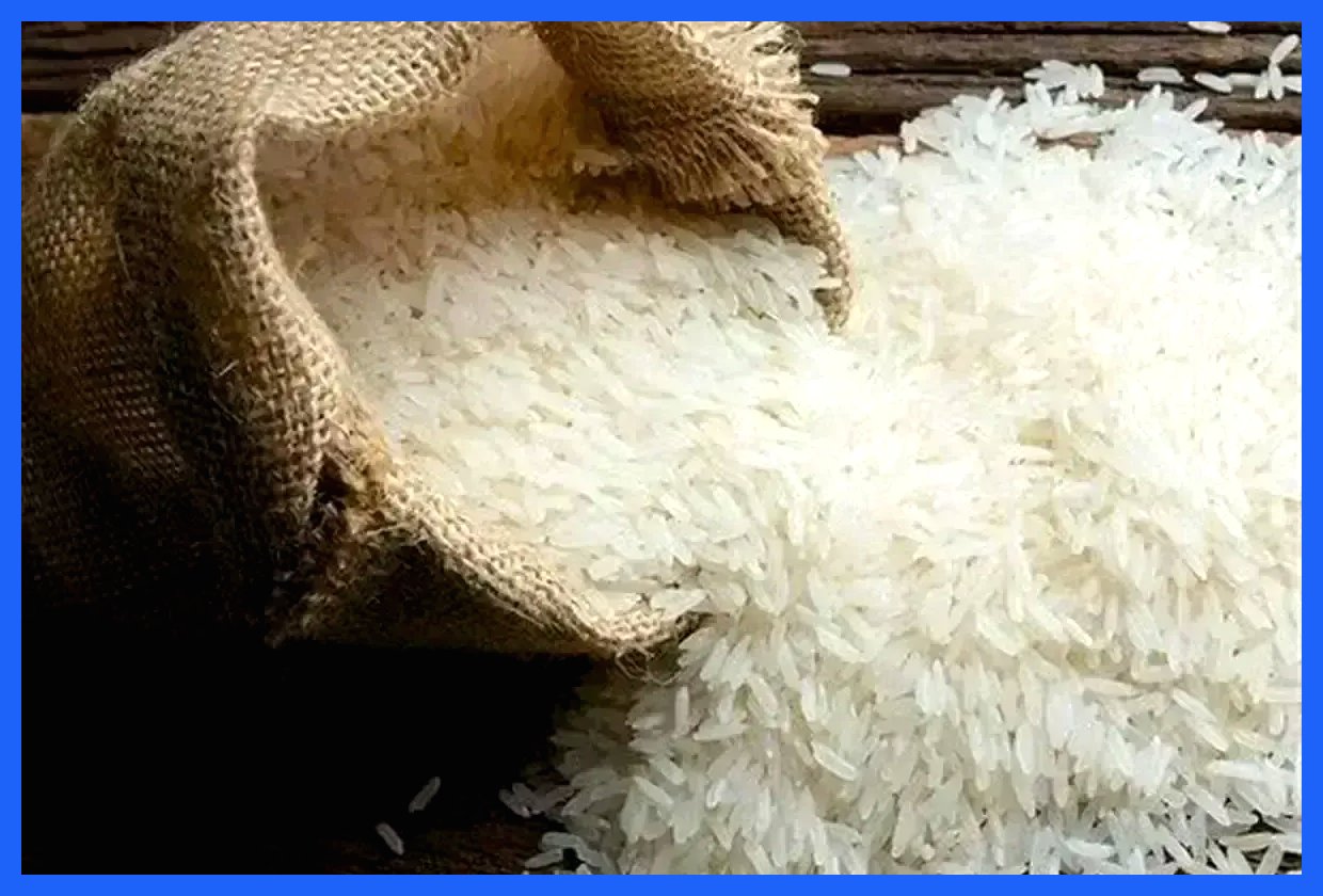 هم‌افزایی ایران و چین در عرصه تولید برنج مقاوم به خشکی