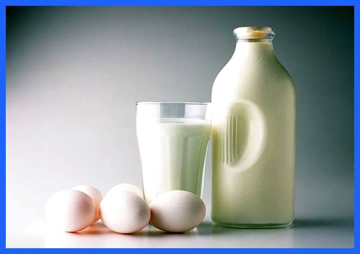 صعود روزافزون قیمت محصولات لبنی
