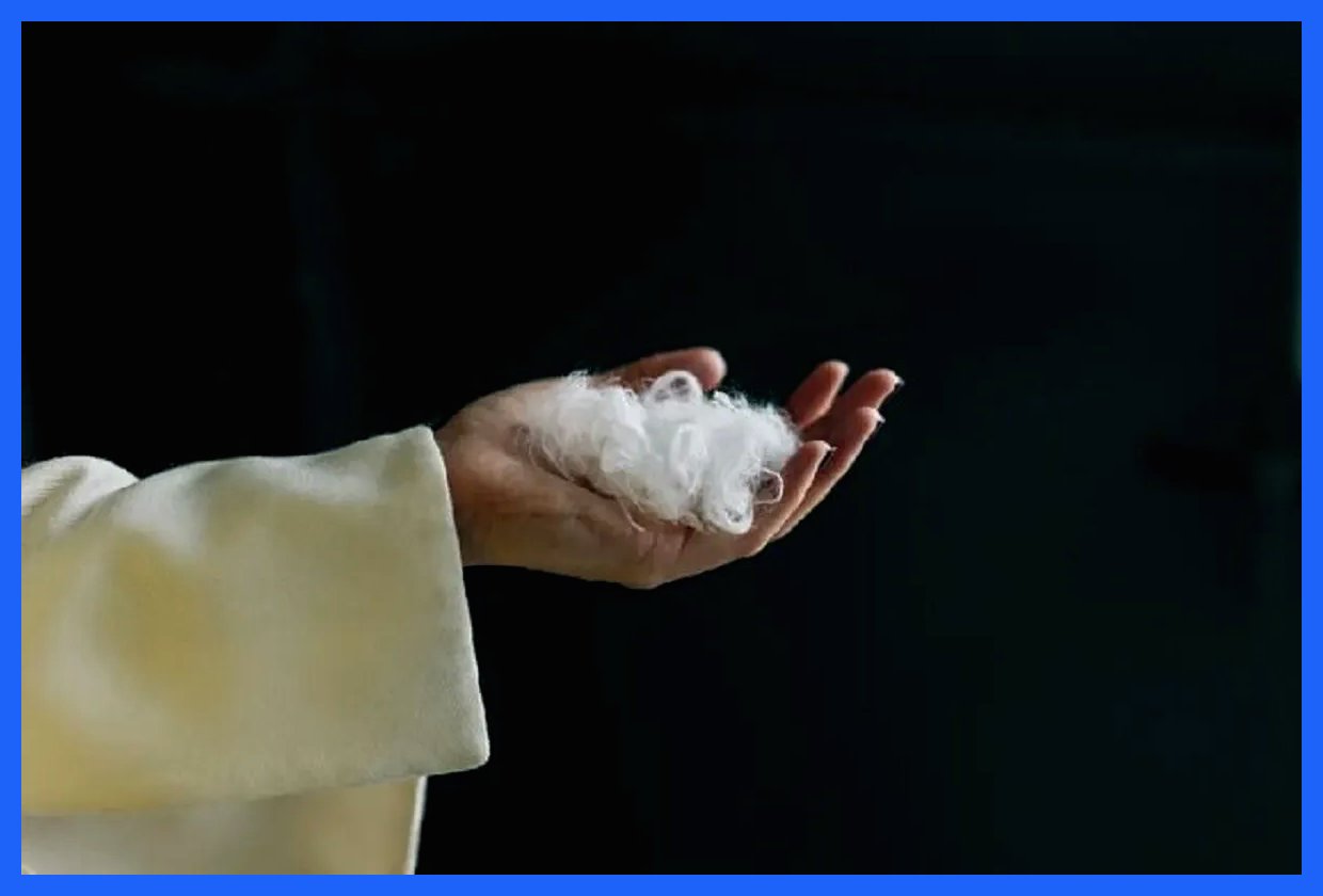 هوش مصنوعی، پرهای مرغ را به پارچه‌ای لوکس تبدیل می‌کند!
