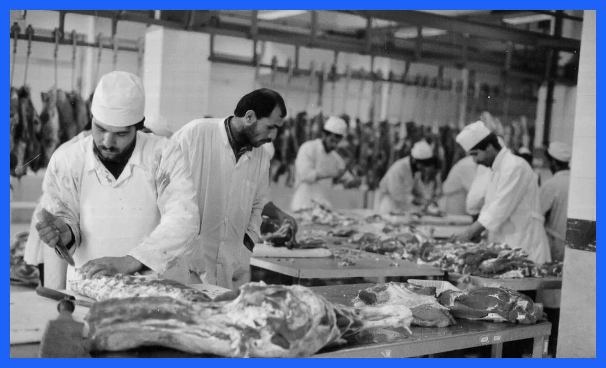 ۷۰ سال خاطرات تاریخی از کشتارگاه تهران؛ تصاویری از مکانی که دیگر وجود ندارد