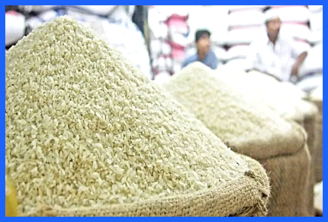 ورود برنج هندی و پاکستانی؛ آیا قیمت‌ها کاهش می‌یابد؟