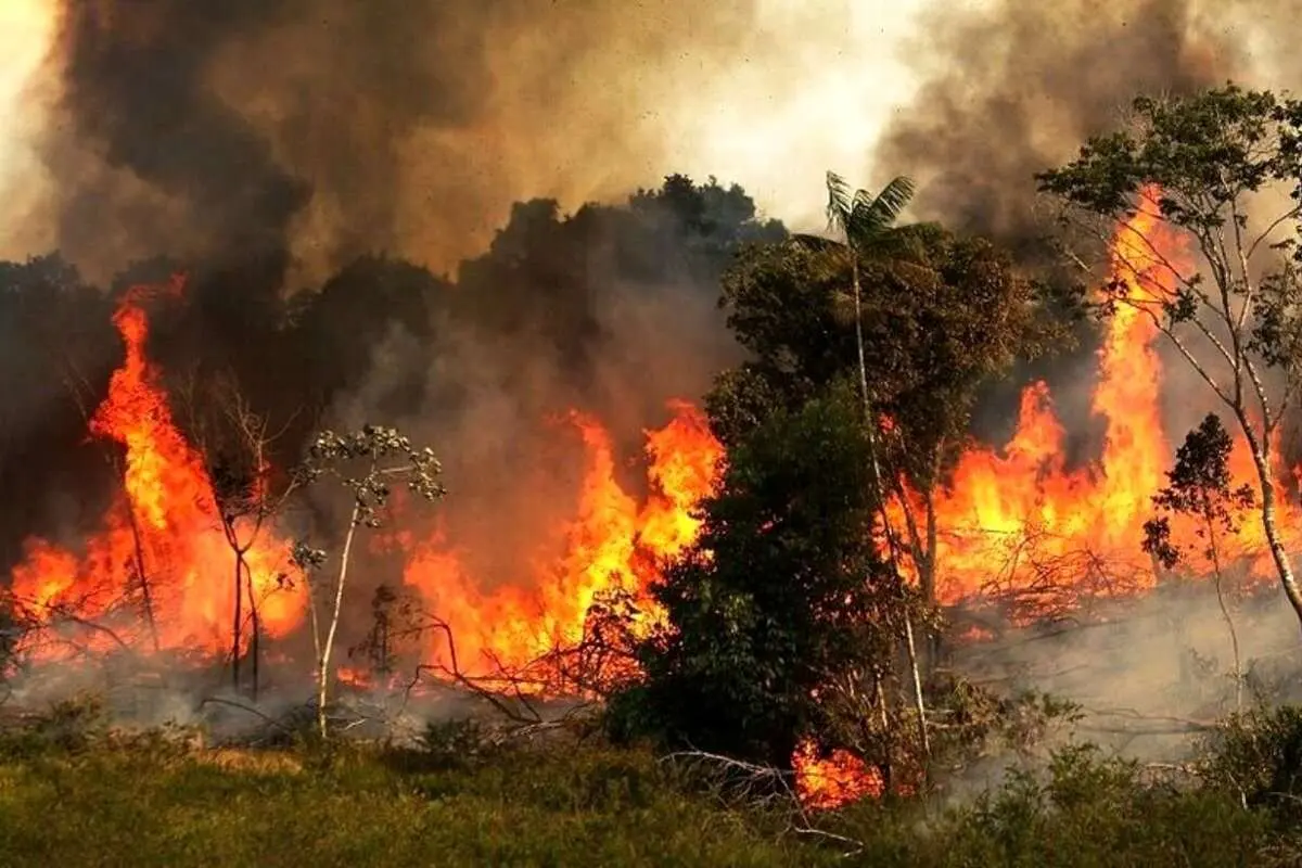 آتش‌سوزی دوباره جنگل‌های دیزمار در آذربایجان شرقی