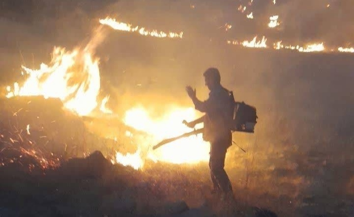 مهار آتش‌سوزی در بیستون کرمانشاه: روایت یک بحران