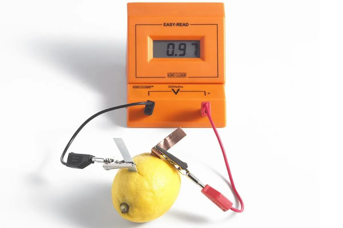 لیمو؛ کلید تولید باتری‌های زیست‌تخریب‌پذیر آینده