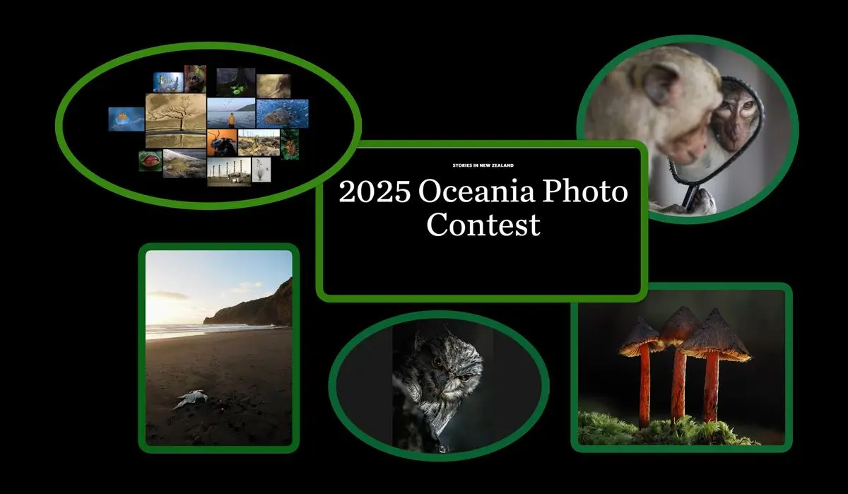 سوژه‌های شگفت‌انگیز عکاسان و پیام‌هایی برای نجات زمین/ معرفی برندگان (+عکس)