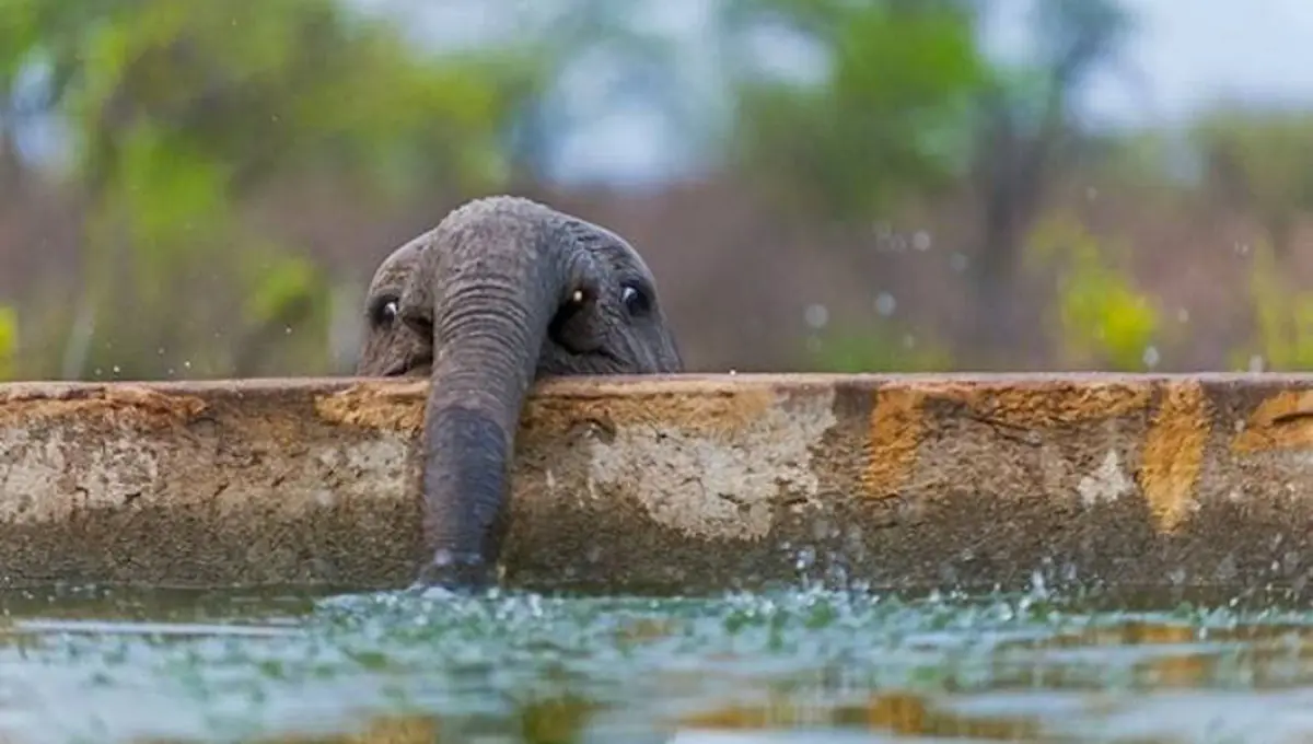 بدون شرح! (تصویری)