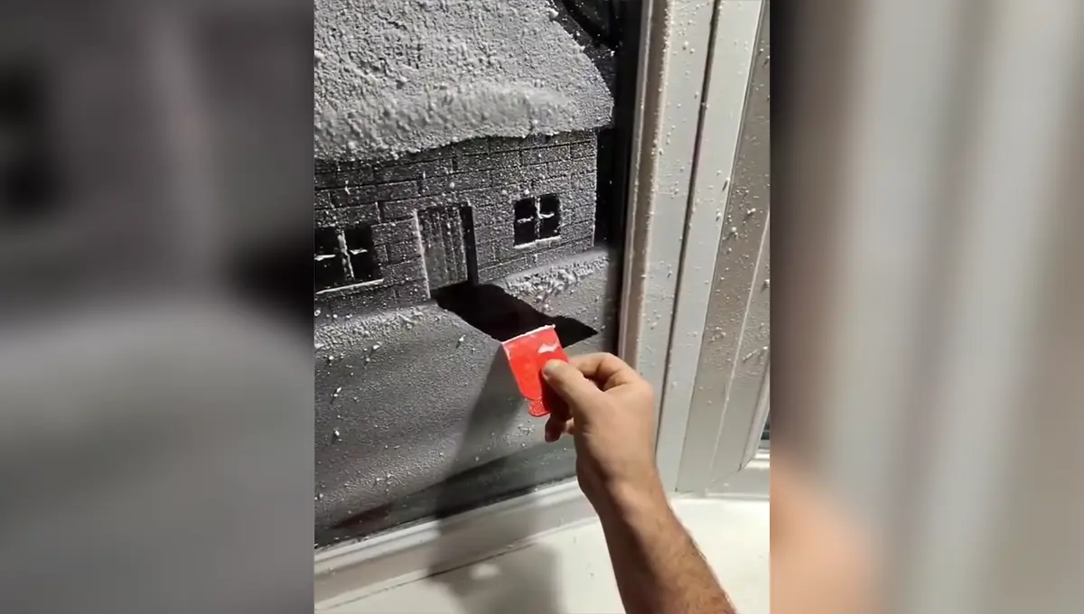 هنرمند بریتانیایی با اسپری برف، پنجره‌ها را به آثار هنری تبدیل می‌کند! (فیلم)