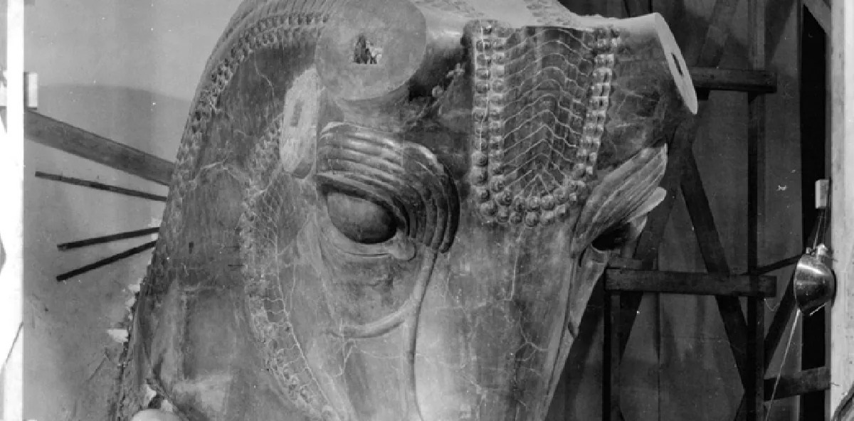 گاو سنگی هخامنشی؛ از تخت‌جمشید تا شیکاگو، داستانی شگفت‌انگیز! (عکس)