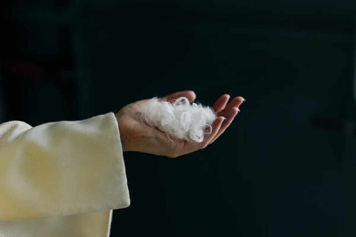 هوش مصنوعی، پرهای مرغ را به پارچه‌ای لوکس تبدیل می‌کند!