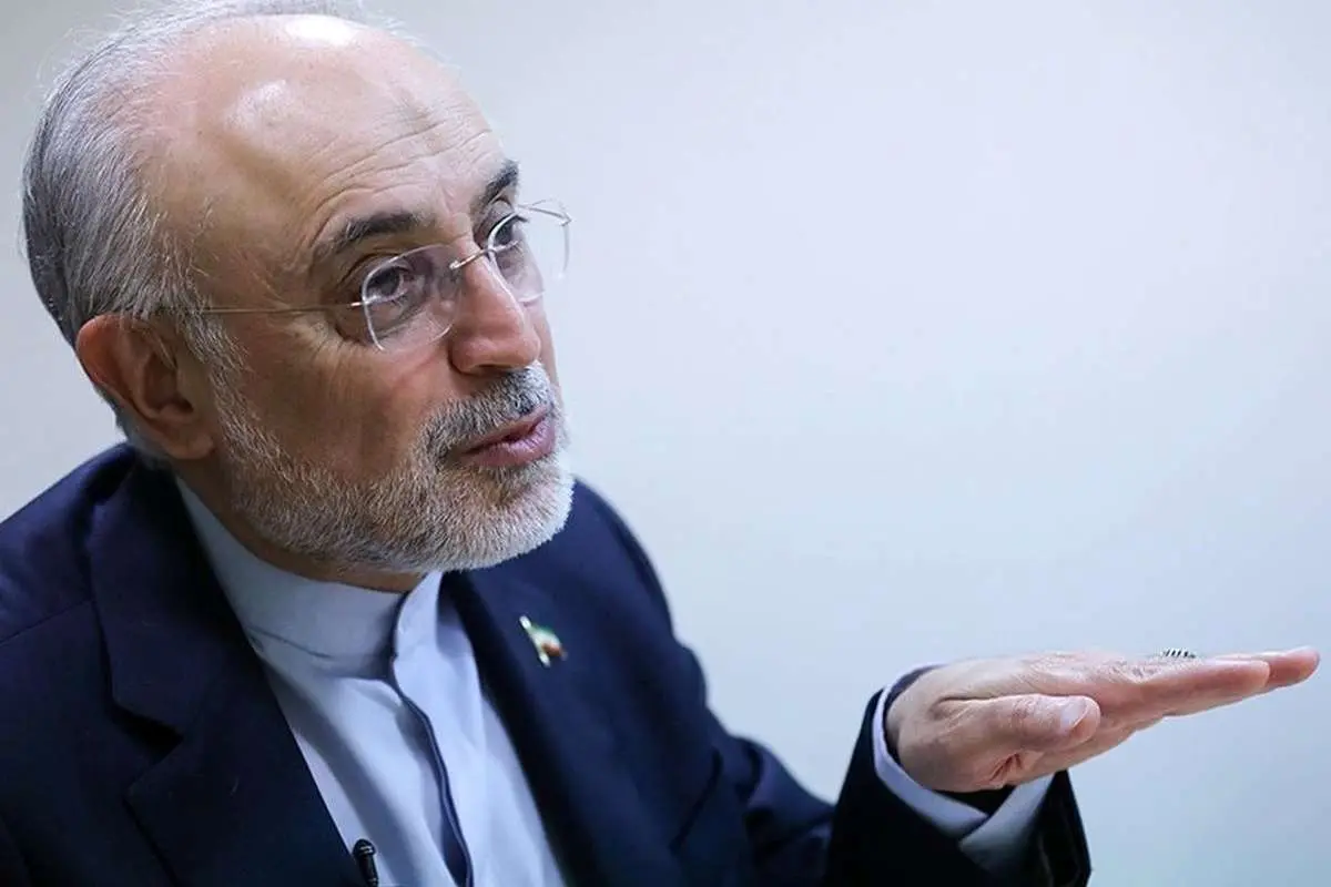 پیشنهاد صالحی برای ادامه مذاکره ایران و آمریکا: «عنوان» مذاکره تغییر کند

علی‌اکبر صالحی، رئیس سازمان انرژی اتمی ایران، در جدیدترین اظهارات خود پیشنهاد کرد که برای ادامه مذاکرات هسته‌ای میان ایران و ایالات متحده، عنوان مذاکرات باید تغییر کند. وی بر این باور است که تغییر عنوان می‌تواند به ایجاد