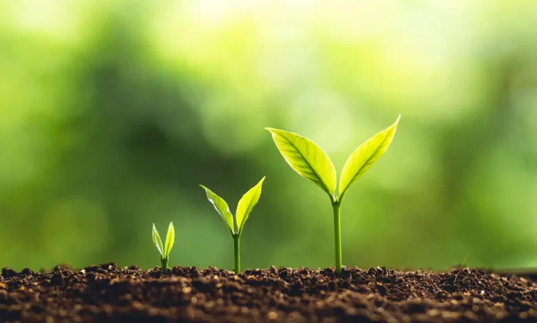 تغییرات کوچک موفقیتهای بزرگ