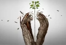تاب‌آوری