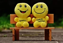 حفظ شادی درونی برای موفقیت