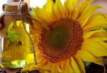 تفاوت روغن آفتابگردان معمولی و اولئیک بالا چیست؟