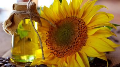 تفاوت روغن آفتابگردان معمولی و اولئیک بالا چیست؟