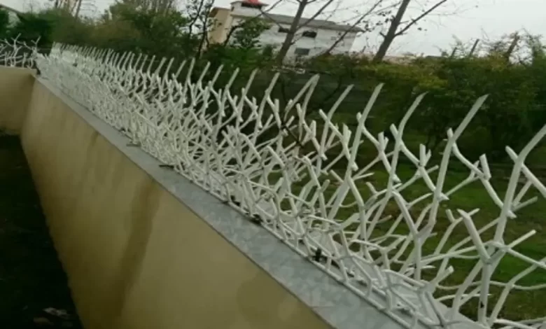 انواع حفاظ روی دیوار