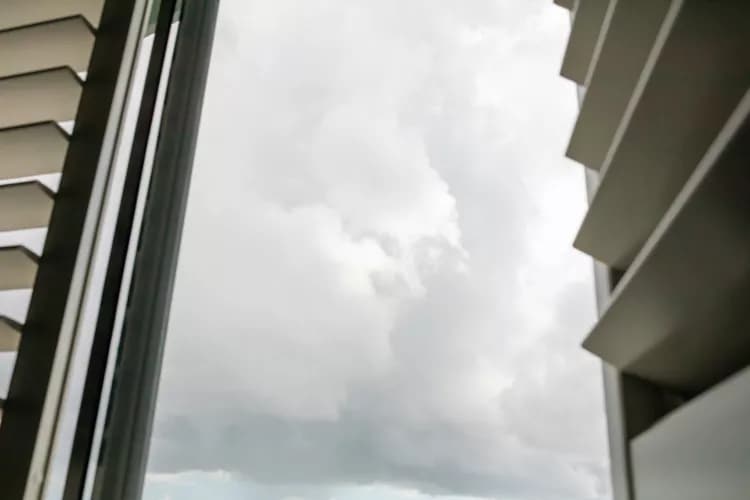 نظافت شیشه ها