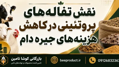 راهنمای جامع خرید تفاله گوجه فرنگی دامی؛ ارزش غذایی، قیمت روز و نکات انبارداری