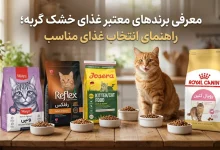 معرفی برندهای معتبر غذای خشک گربه