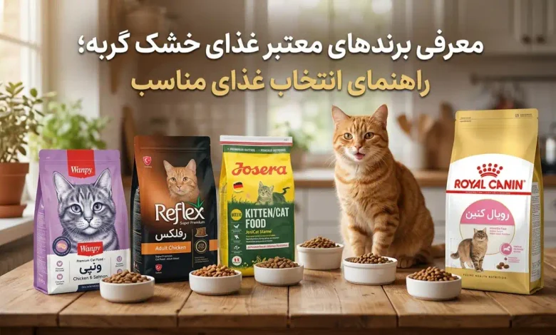 معرفی برندهای معتبر غذای خشک گربه
