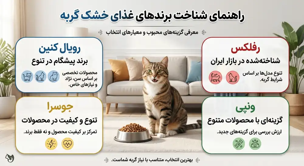 راهنمای غذای خشک گربه