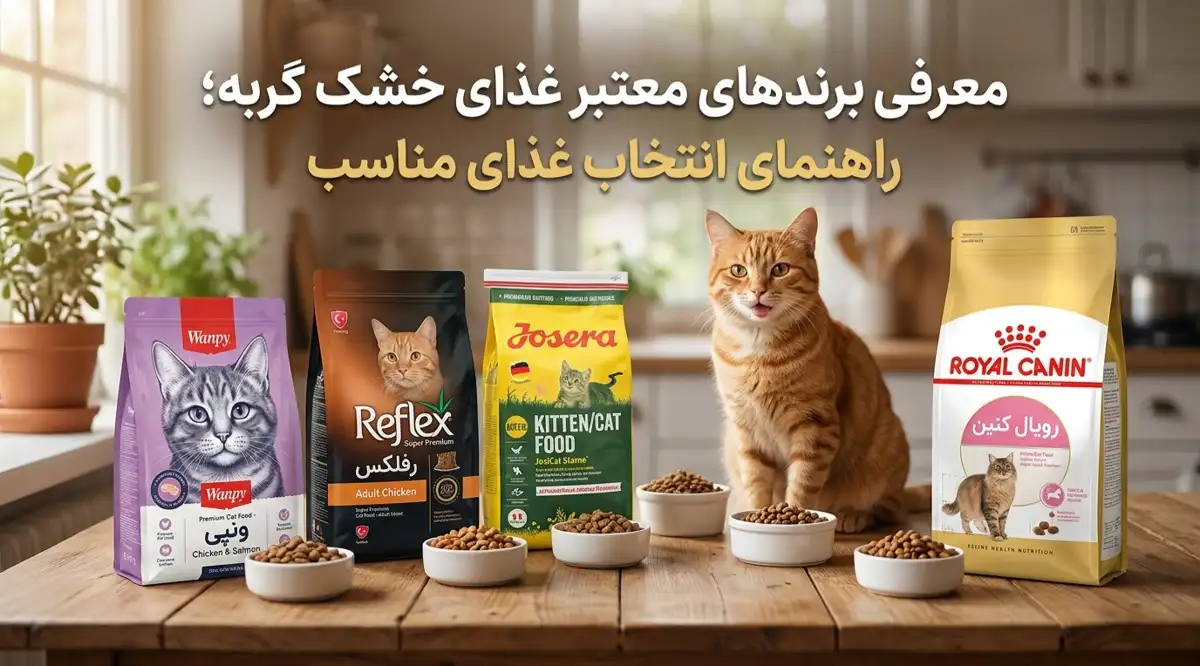 معرفی برندهای معتبر غذای خشک گربه