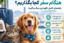 حیوان خانگی را هنگام سفر کجا بگذاریم؟