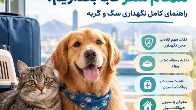 حیوان خانگی را هنگام سفر کجا بگذاریم؟