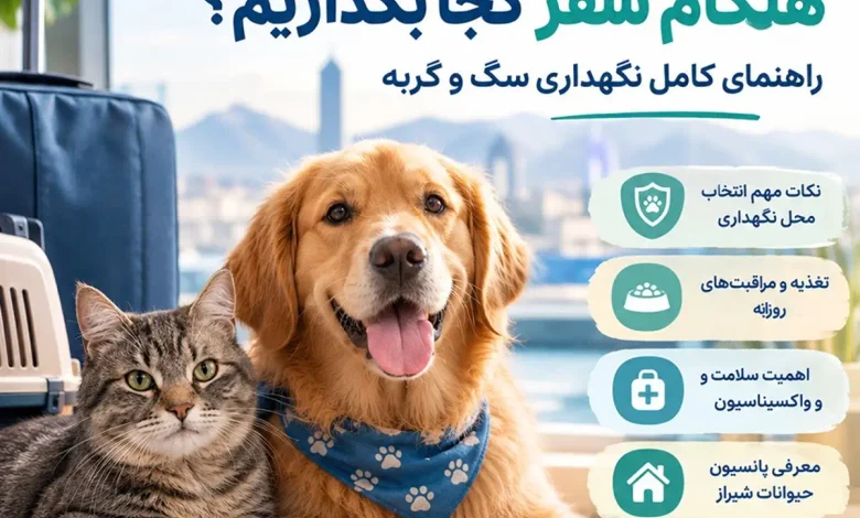 حیوان خانگی را هنگام سفر کجا بگذاریم؟