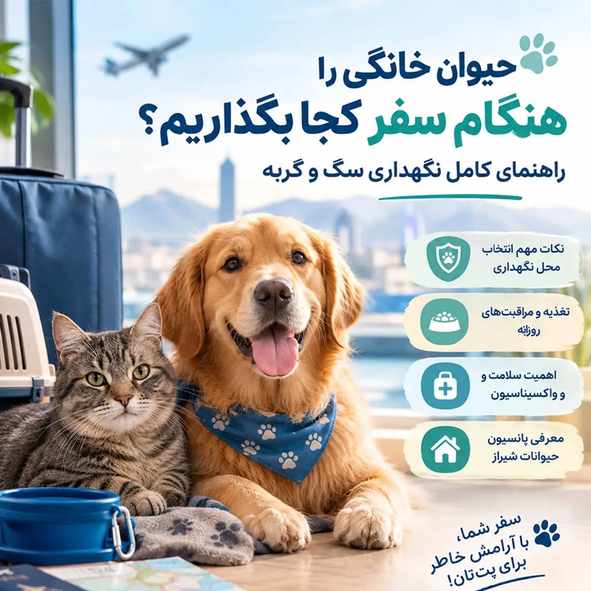 حیوان خانگی را هنگام سفر کجا بگذاریم؟